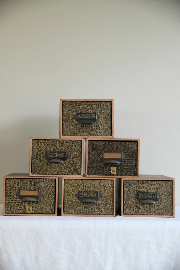 6 Vintage Canto Faux Croc Skin Index Card Filing Drawers (1 of 10)