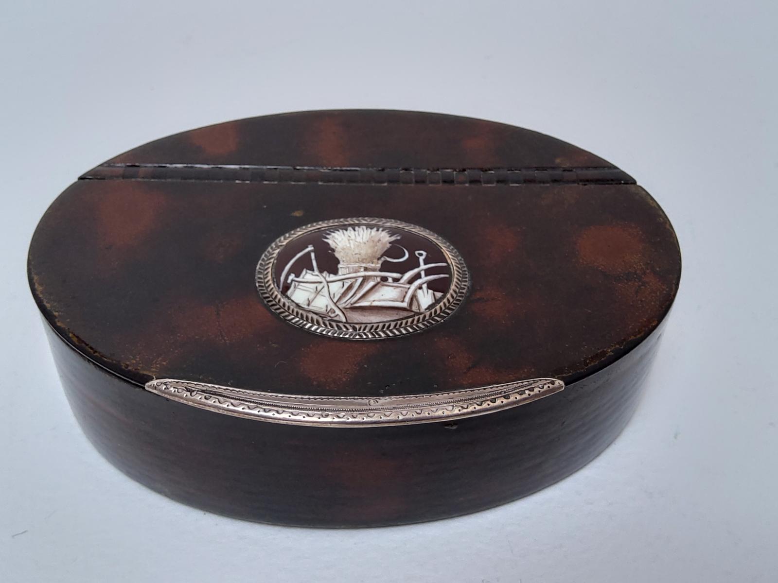 Georgian Faux Tortoiseshell Snuff Box (1 of 5)