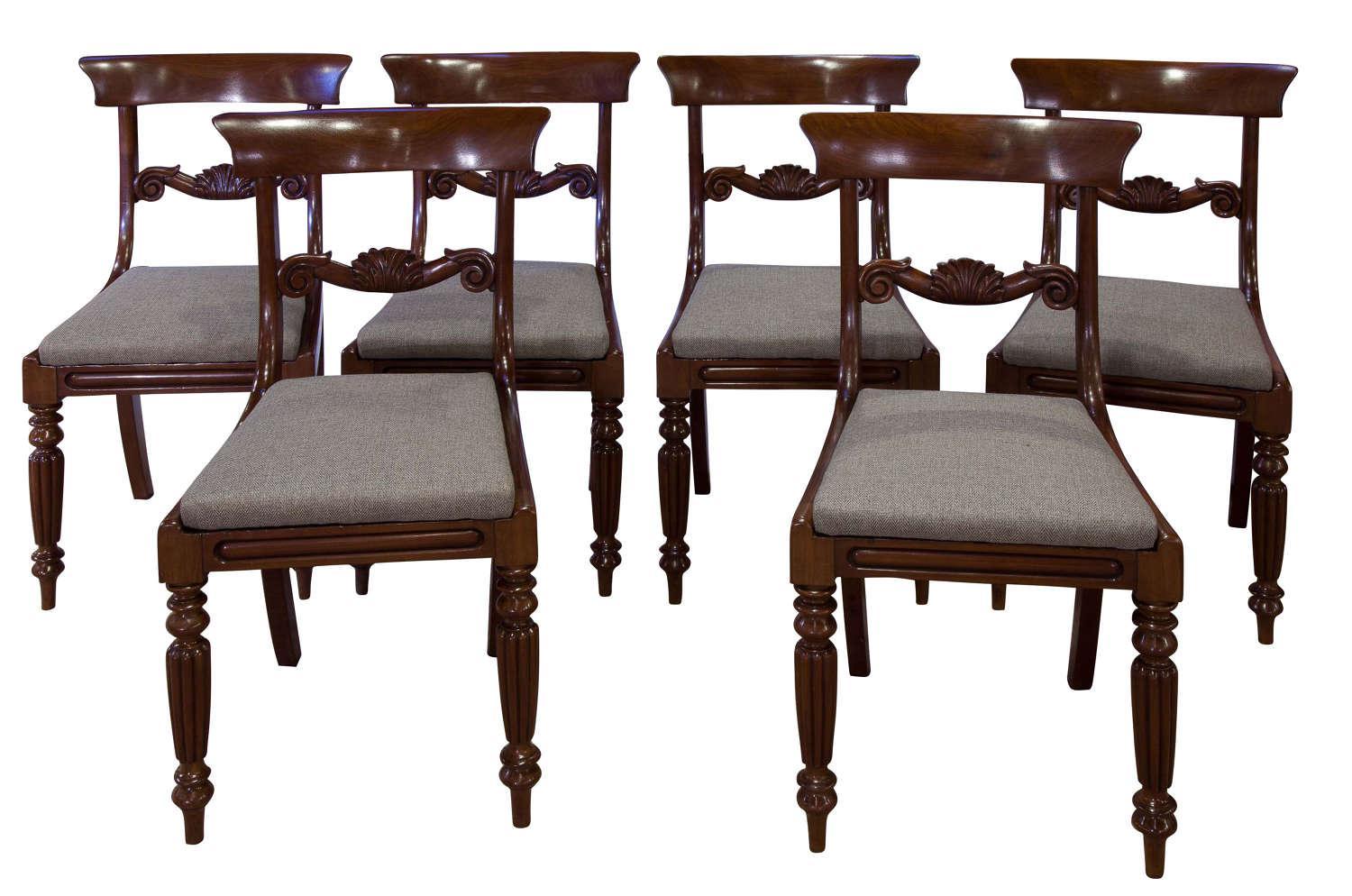 Set of Six William IV Mahogany Dining Chairs c.1830 (1 of 7) Set of Six William IV Mahogany Dining Chairs c.1830 (1 of 7)
