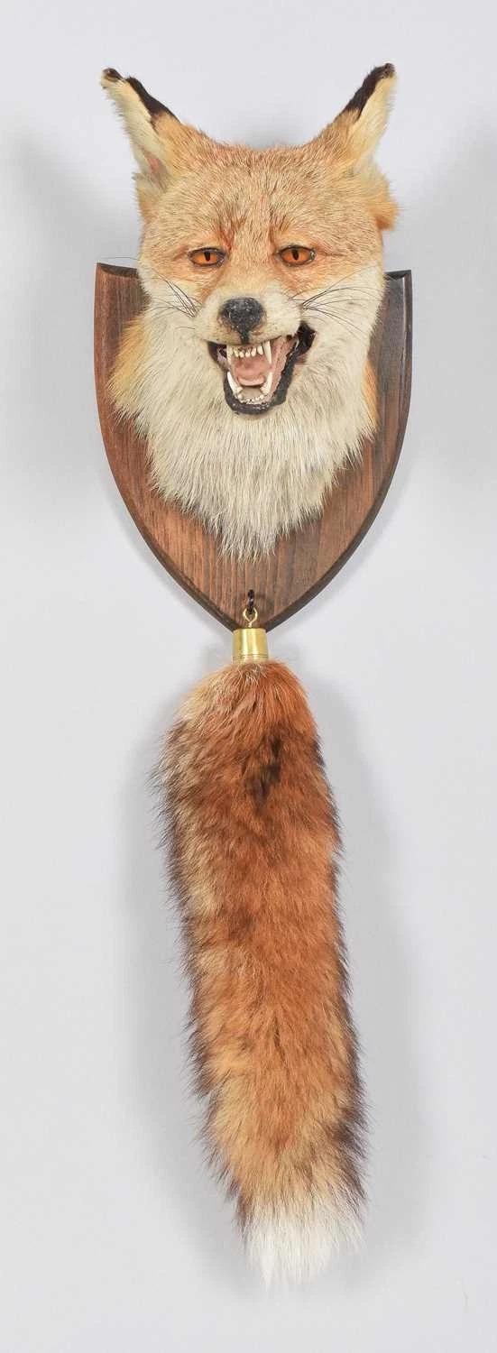 Taxidermy Fox (Vulpes Vulpes) Mask & Brush (1 of 4)