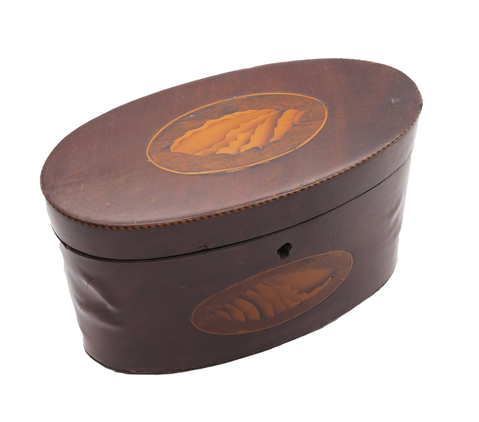 19th Century Oval Mahogany Tea Caddy (1 of 5)