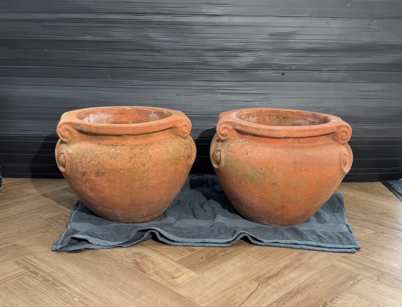 Pair of Terracotta Compton Pots (1 of 7)