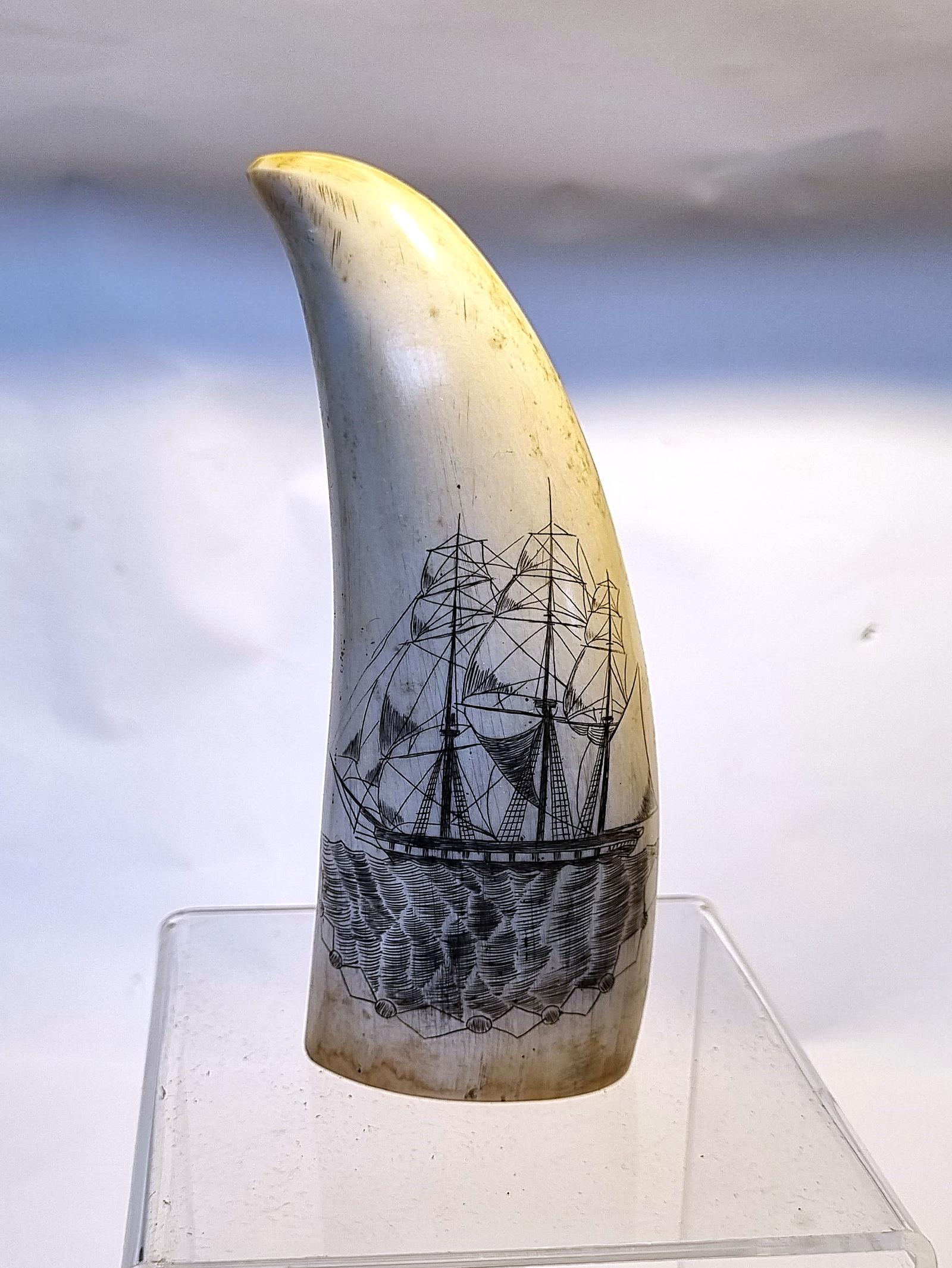 Scrimshaw Ship the Eurydice (1 of 4) Scrimshaw Ship the Eurydice (1 of 4)