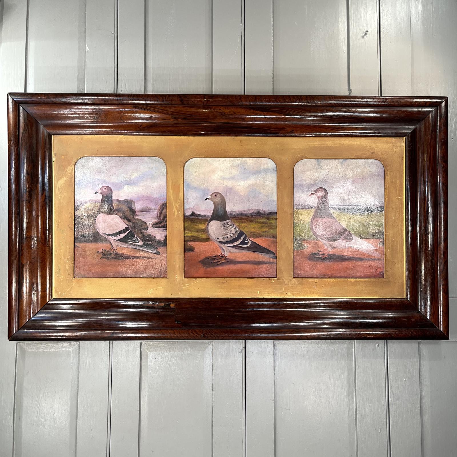 Large Antique Oil Painting Trio Triptych of Racing Pigeons c.1913 (1 of 15)