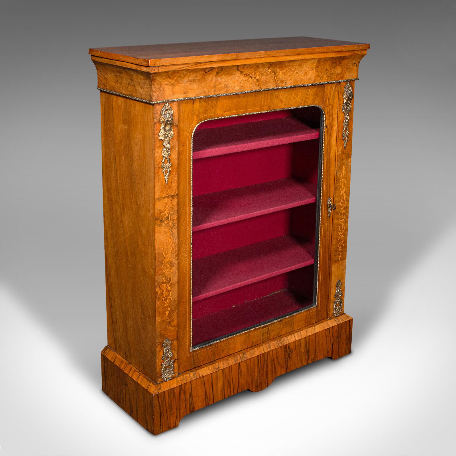 Antique Pier Cabinet, English Walnut, Glazed Bookcase, Display Cupboard, Regency (1 of 12)