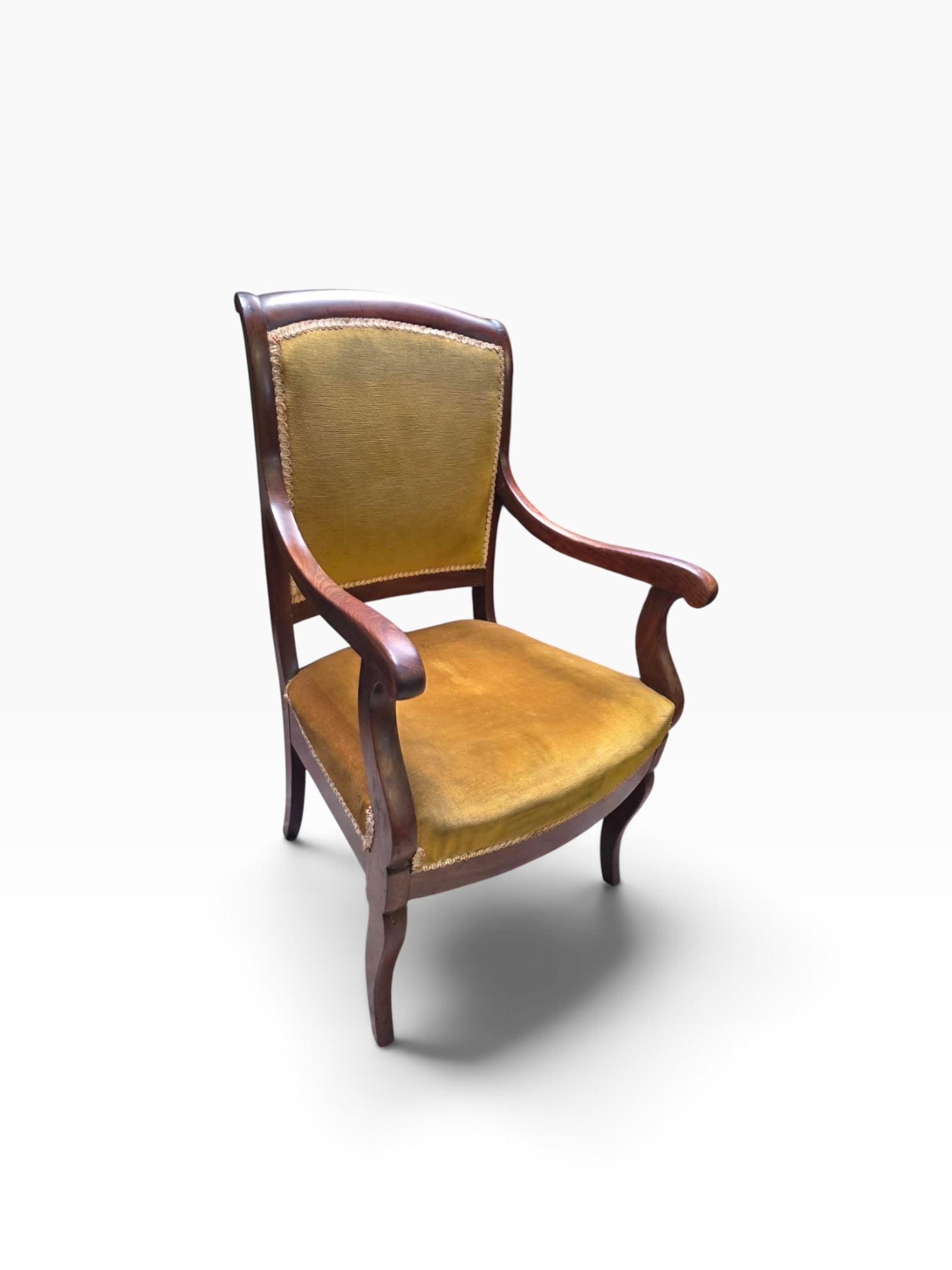 Antique Vintage Mahogany Upholstered Carver Armchair / c.1890 (1 of 9) Antique Vintage Mahogany Upholstered Carver Armchair / c.1890 (1 of 9)