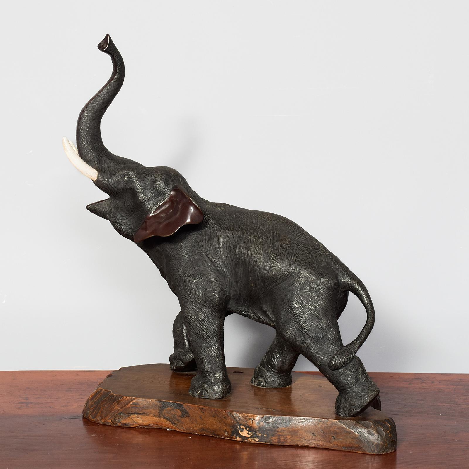 Japanese Bronze Elephant with Ivory Tusks & Diamond Eyes (1 of 6) Japanese Bronze Elephant with Ivory Tusks & Diamond Eyes (1 of 6)