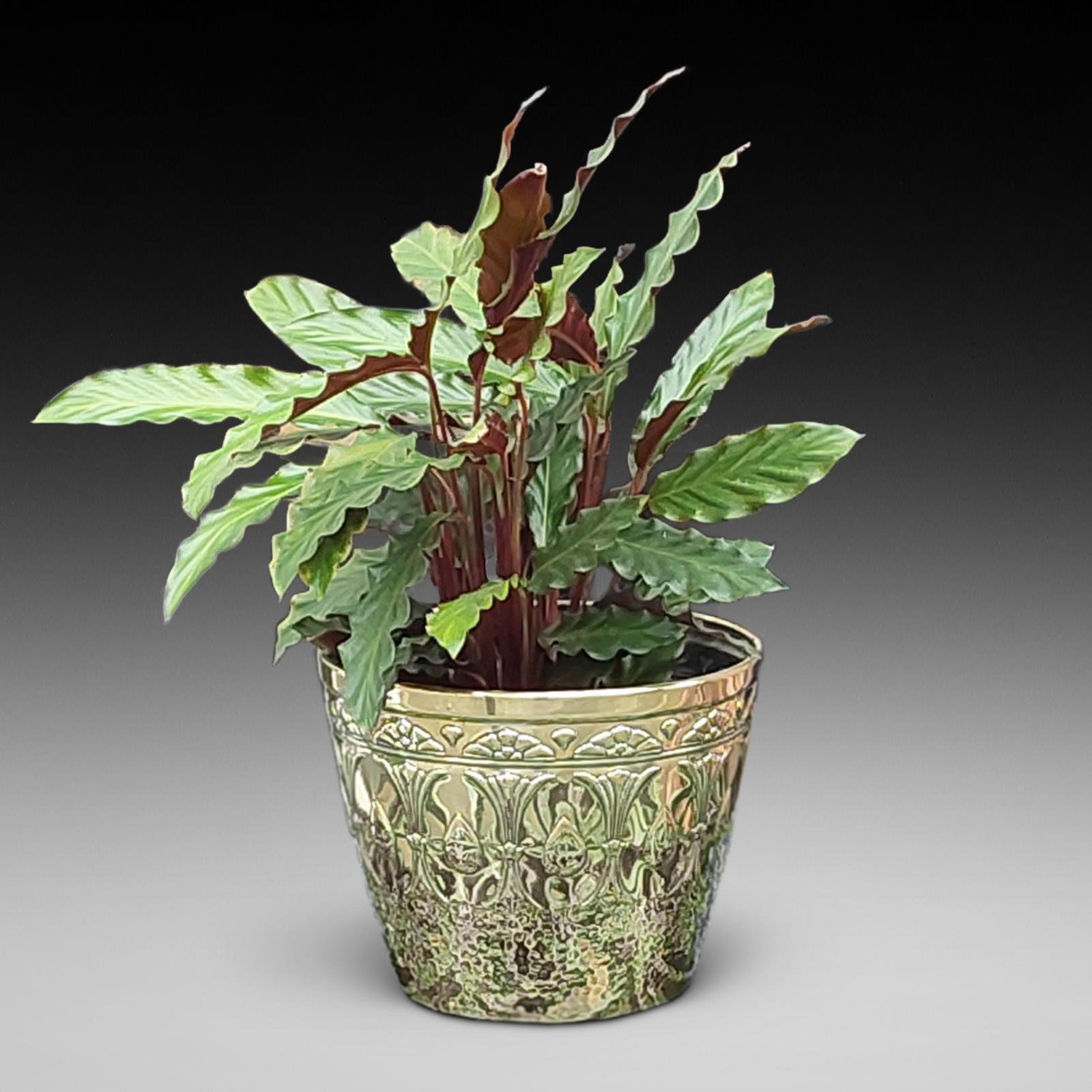 Art Nouveau Brass Planter by J Sankey and Sons (1 of 7)