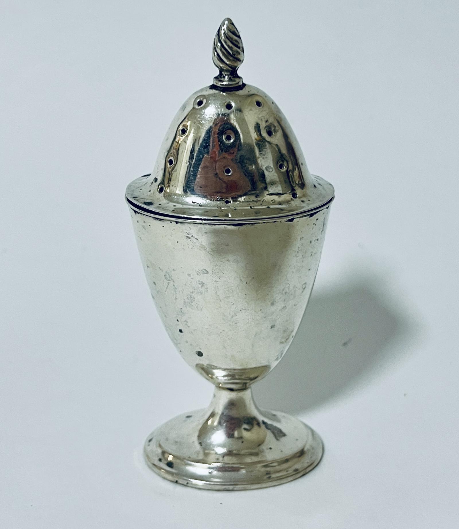 Victorian Silver Pepper or Pounce Pot (1 of 10)