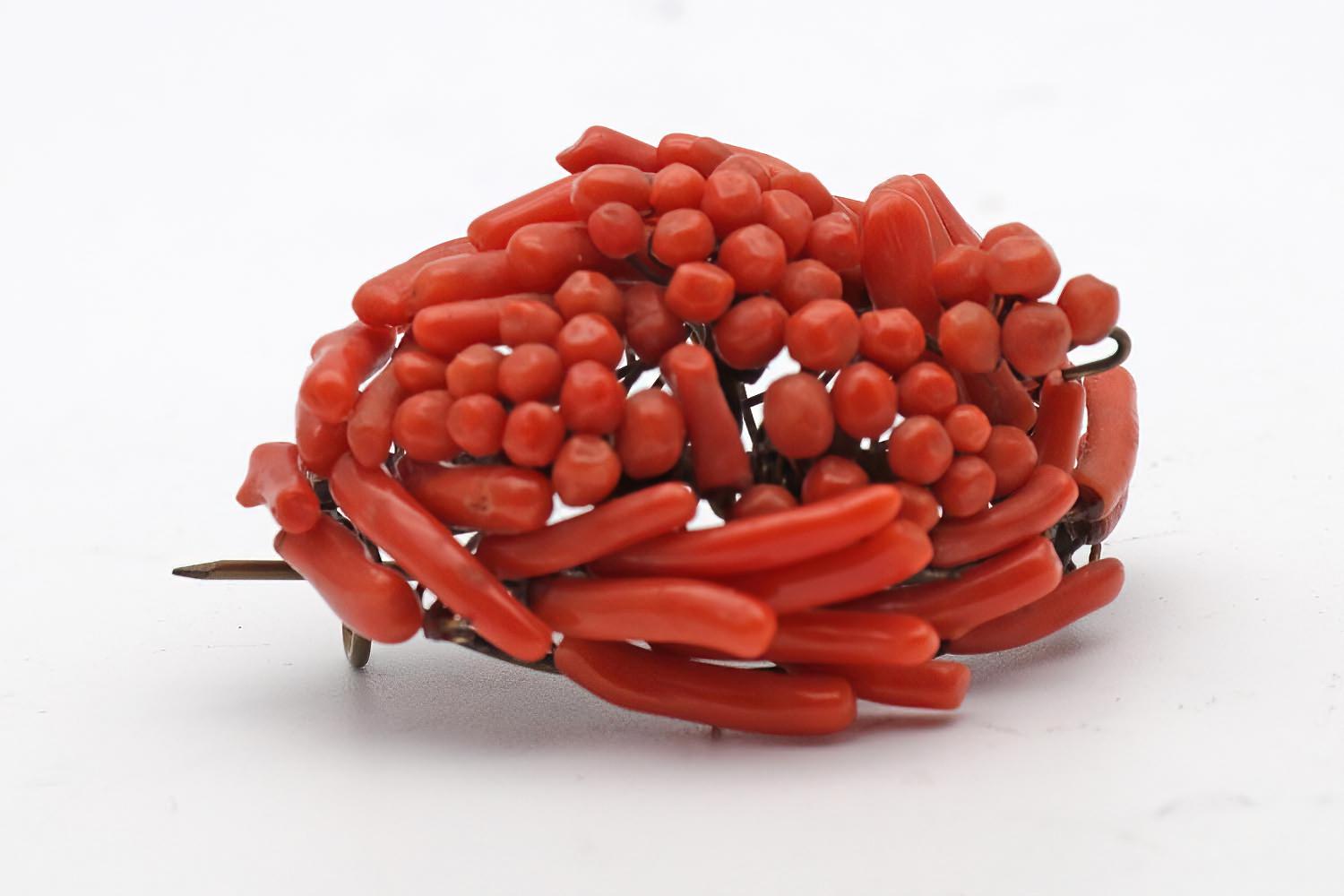 Antique Coral Brooch (1 of 1)
