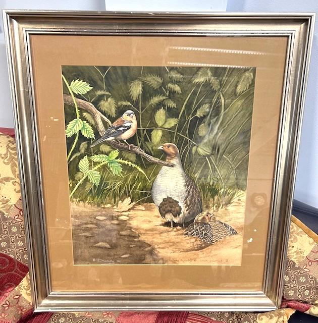 Framed & Dated Original Watercolour / Pencil Picture of Birds. Signed by Artist Mike Donnell (1 of 3) Framed & Dated Original Watercolour / Pencil Picture of Birds. Signed by Artist Mike Donnell (1 of 3)