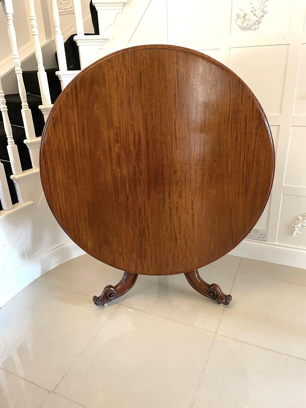 Item Main Image Item Main Image