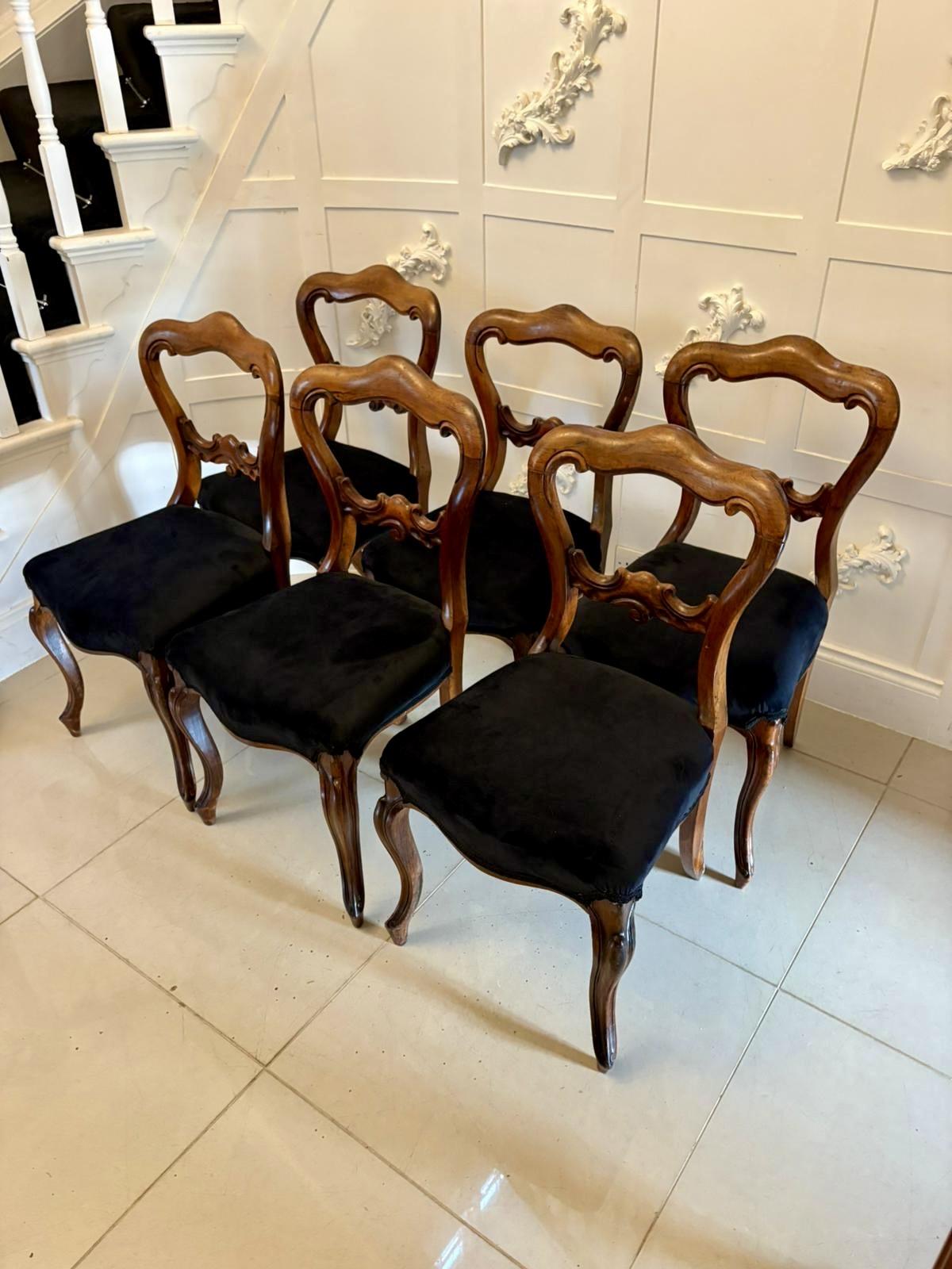 English 19th Century Rosewood Chairs - main image