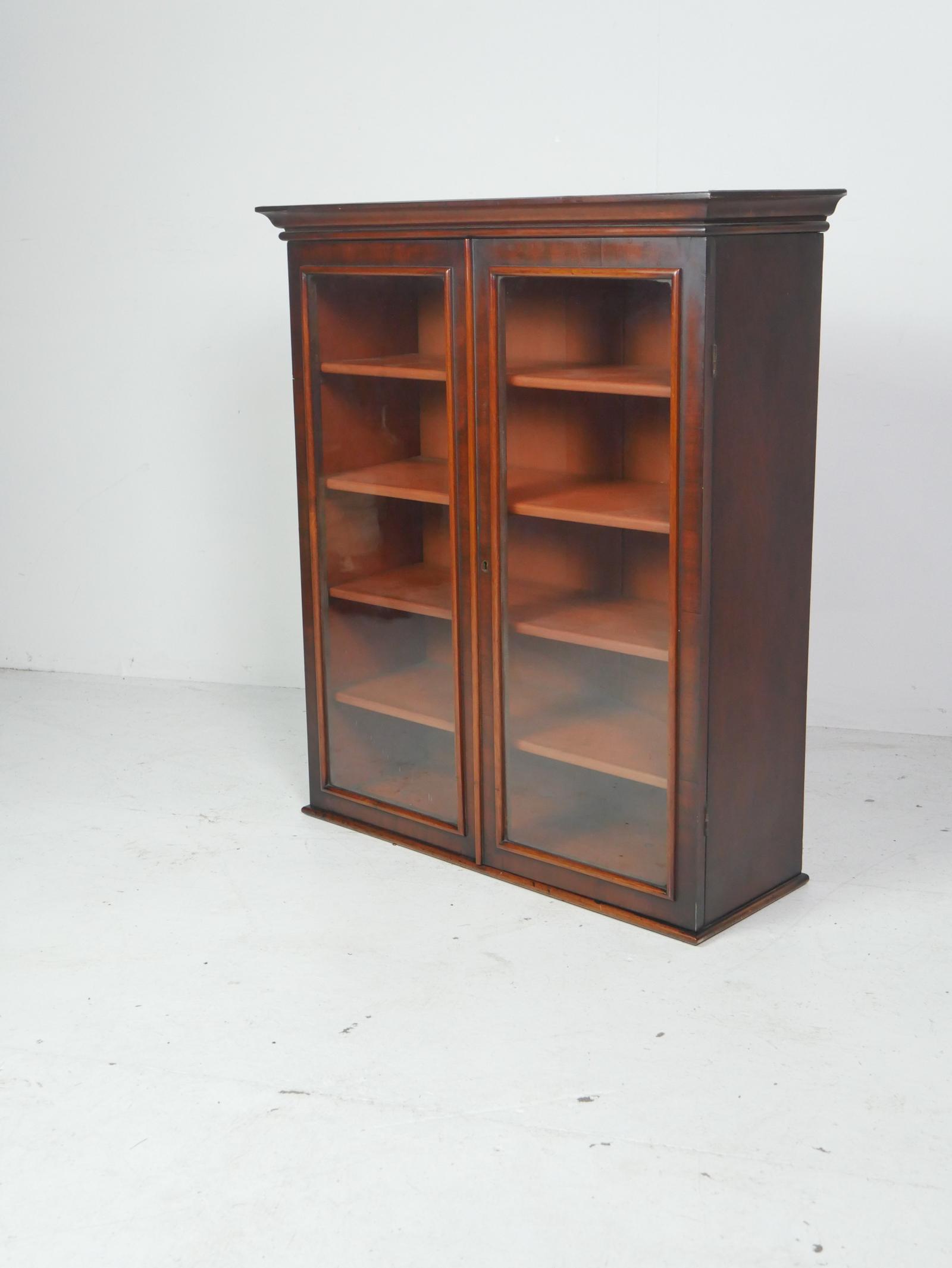 19th Century Hanging Wall Cupboard (1 of 6)