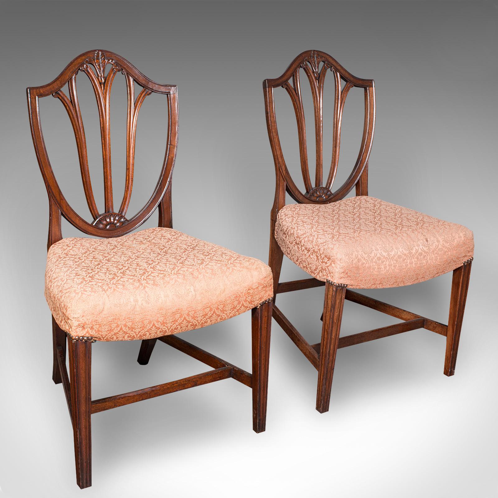Pair of Antique Hepplewhite Side Chairs, English, Fruitwood, Hall Seat - Georgian (1 of 12) Pair of Antique Hepplewhite Side Chairs, English, Fruitwood, Hall Seat - Georgian (1 of 12)