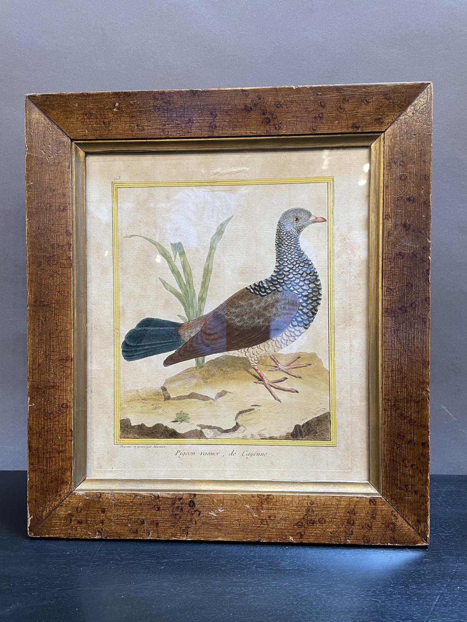 18th Century Coloured Engraving (1 of 12) 18th Century Coloured Engraving (1 of 12)