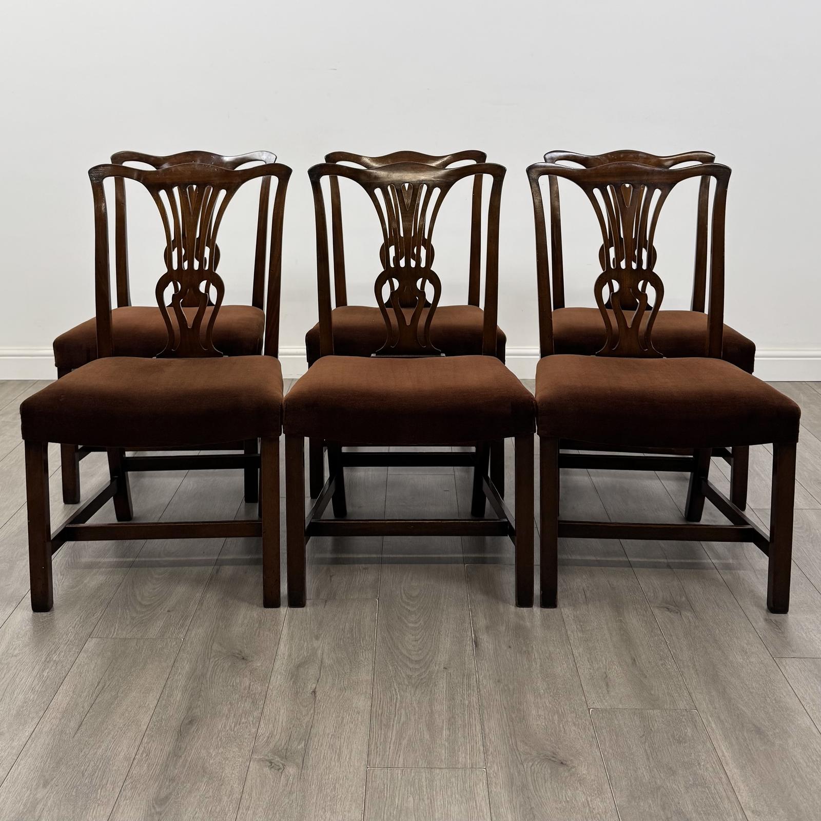 Antique 20th Century Set of 6 Georgian Style Dining Chairs (1 of 8) Antique 20th Century Set of 6 Georgian Style Dining Chairs (1 of 8)