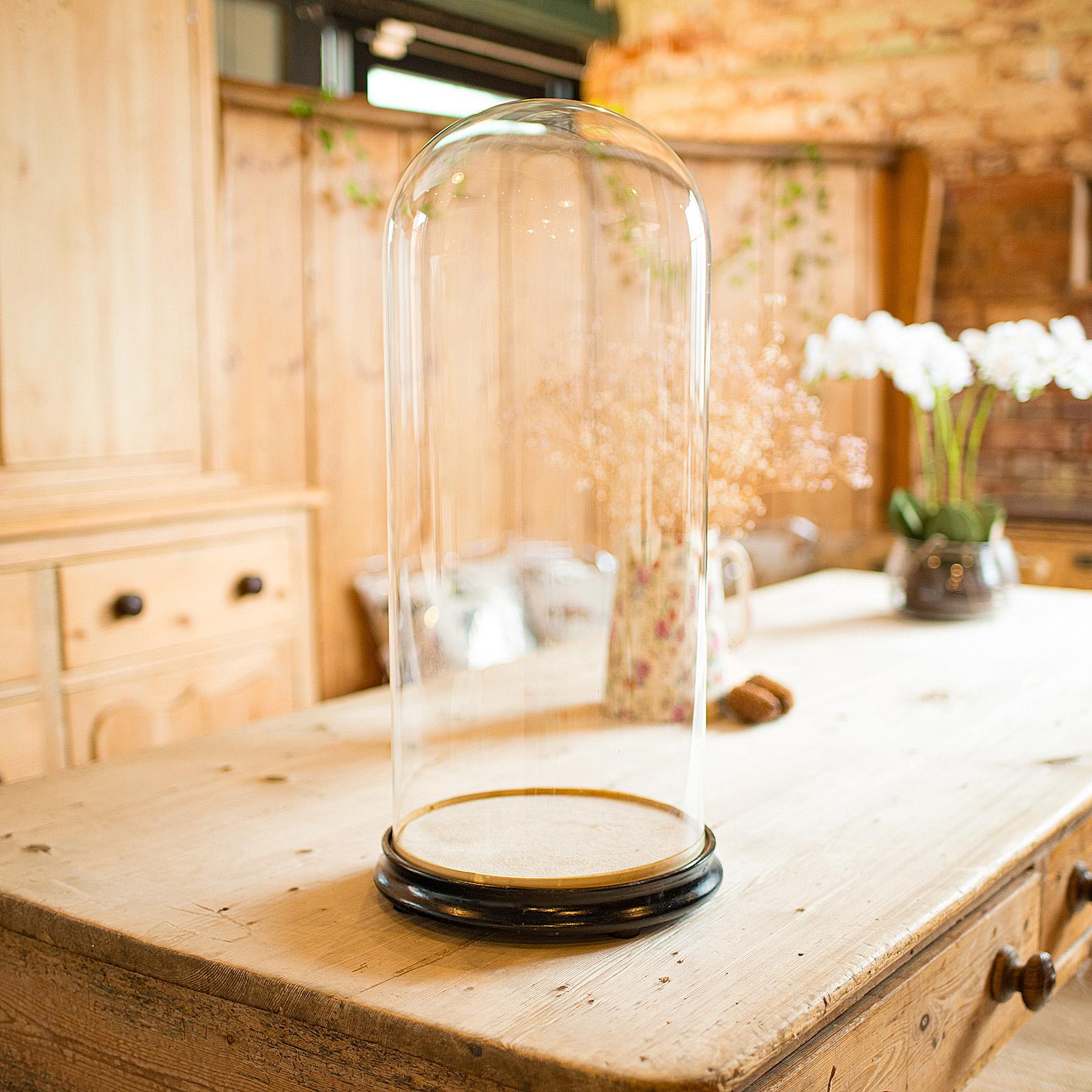 Tall Antique Professor's Specimen Dome, English, Glass, Taxidermy, Victorian (1 of 9)