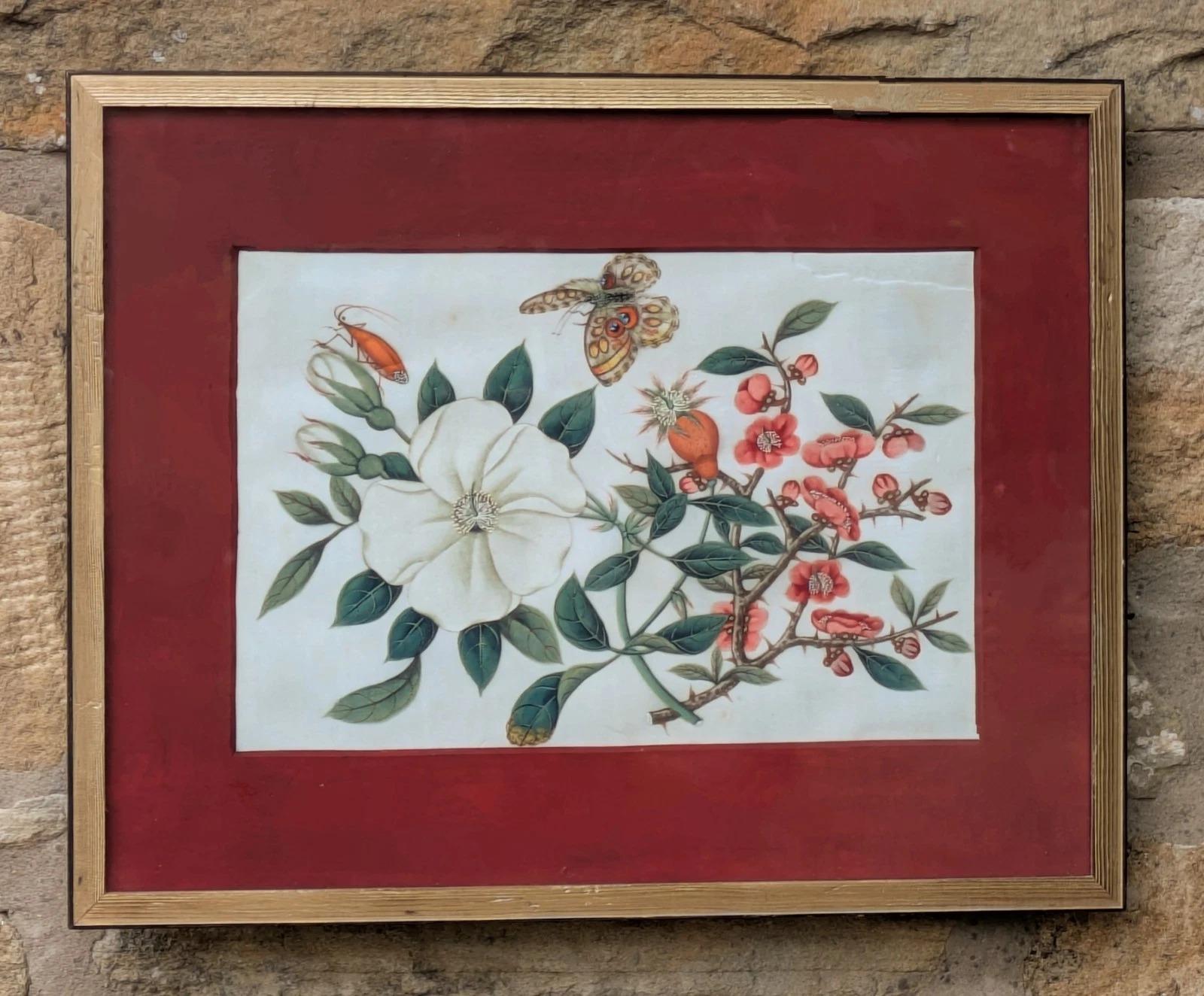 Antique Chinese Watercolour Painting Butterflies & Blossoms (1 of 7) Antique Chinese Watercolour Painting Butterflies & Blossoms (1 of 7)