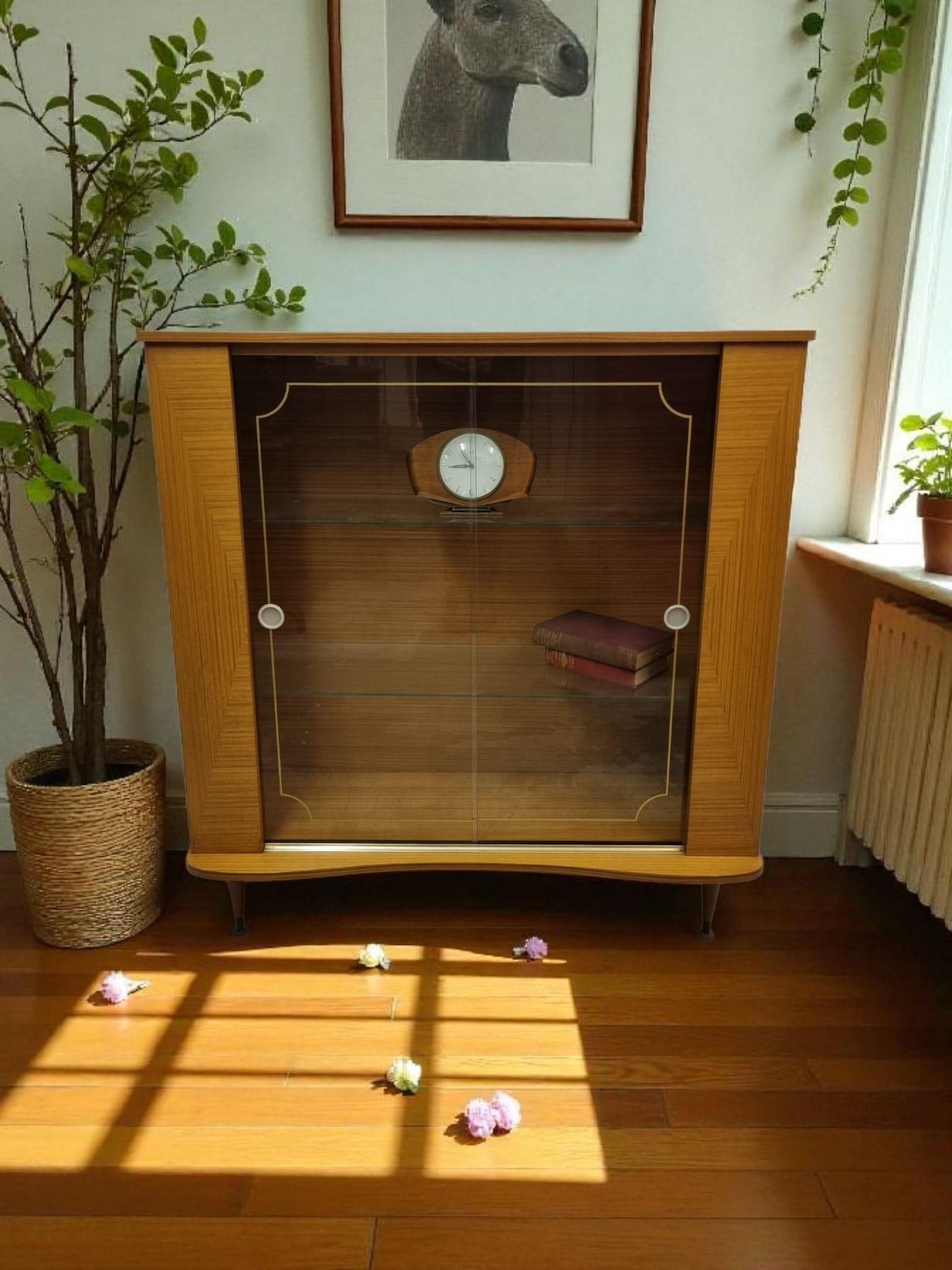 Vintage Glass-front Bookcase / Mid-century (1 of 8)