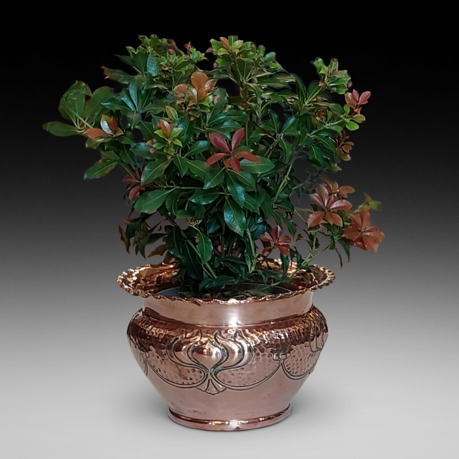 Edwardian Art Nouveau Copper Planter (1 of 7) Edwardian Art Nouveau Copper Planter (1 of 7)