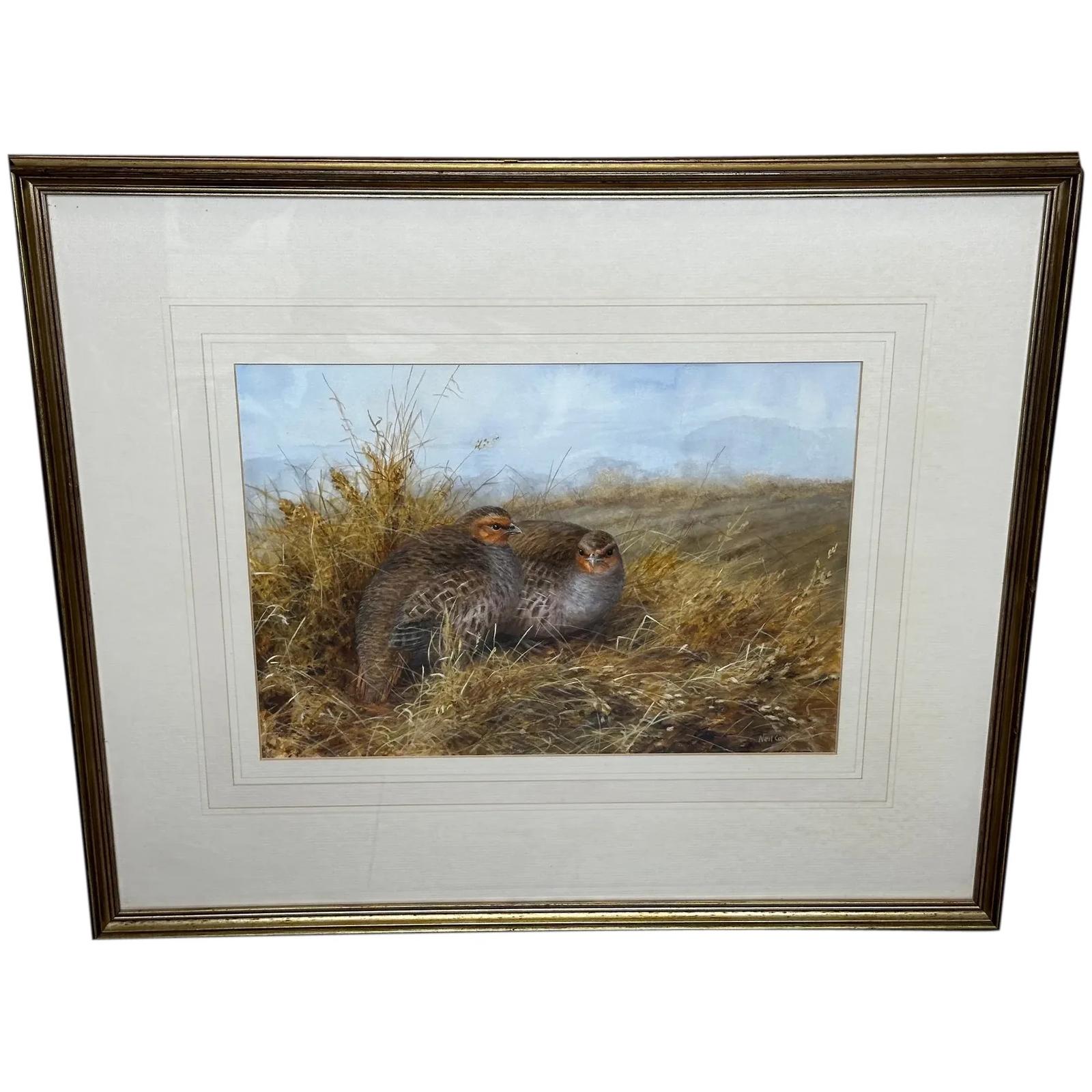 Ornithology Watercolour Grey Partridges Wildlife Game Birds Sheltering New Forest by Neil Cox (1 of 41)