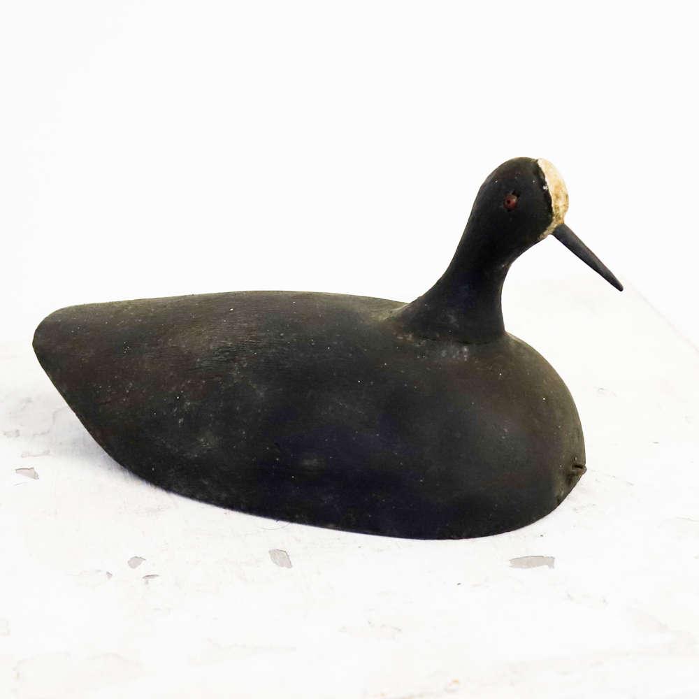 Working Coot Decoy - French Early 20th Century (1 of 6) Working Coot Decoy - French Early 20th Century (1 of 6)