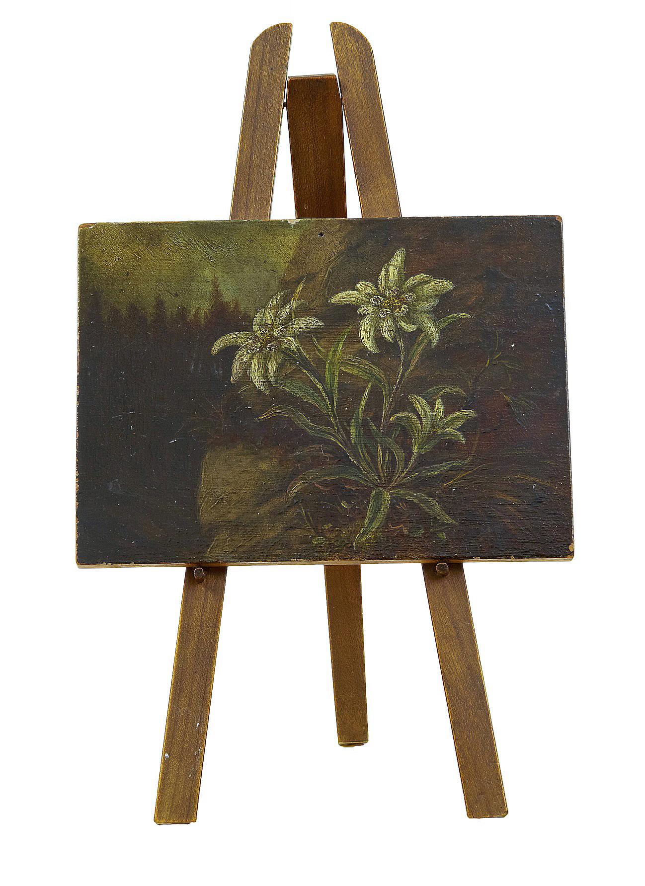 19th Century Miniature Oil on Board Painting of Edelweiss (1 of 6) 19th Century Miniature Oil on Board Painting of Edelweiss (1 of 6)