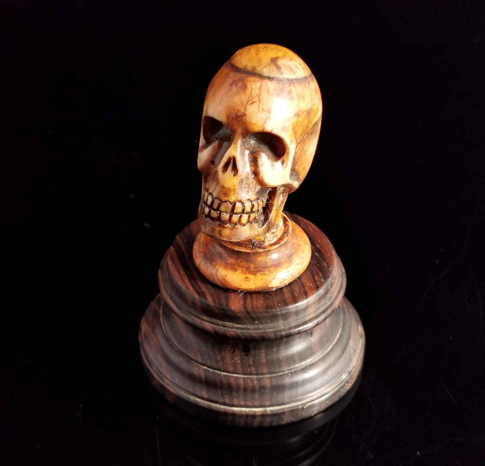Antique Bone Skull Sculpture, Memento Mori (1 of 13) Antique Bone Skull Sculpture, Memento Mori (1 of 13)