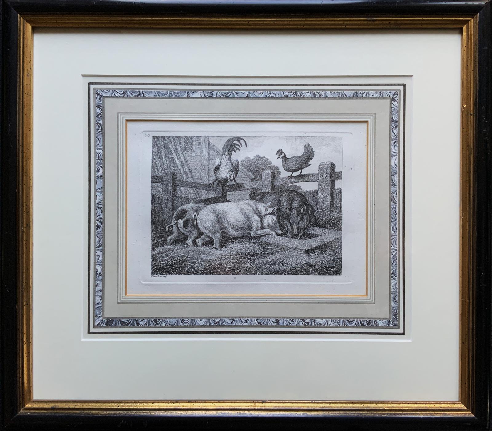 Samuel Howitt (1756–1822) Original Antique Etching – Farmyard Pigs No. 50 (1 of 9) Samuel Howitt (1756–1822) Original Antique Etching – Farmyard Pigs No. 50 (1 of 9)