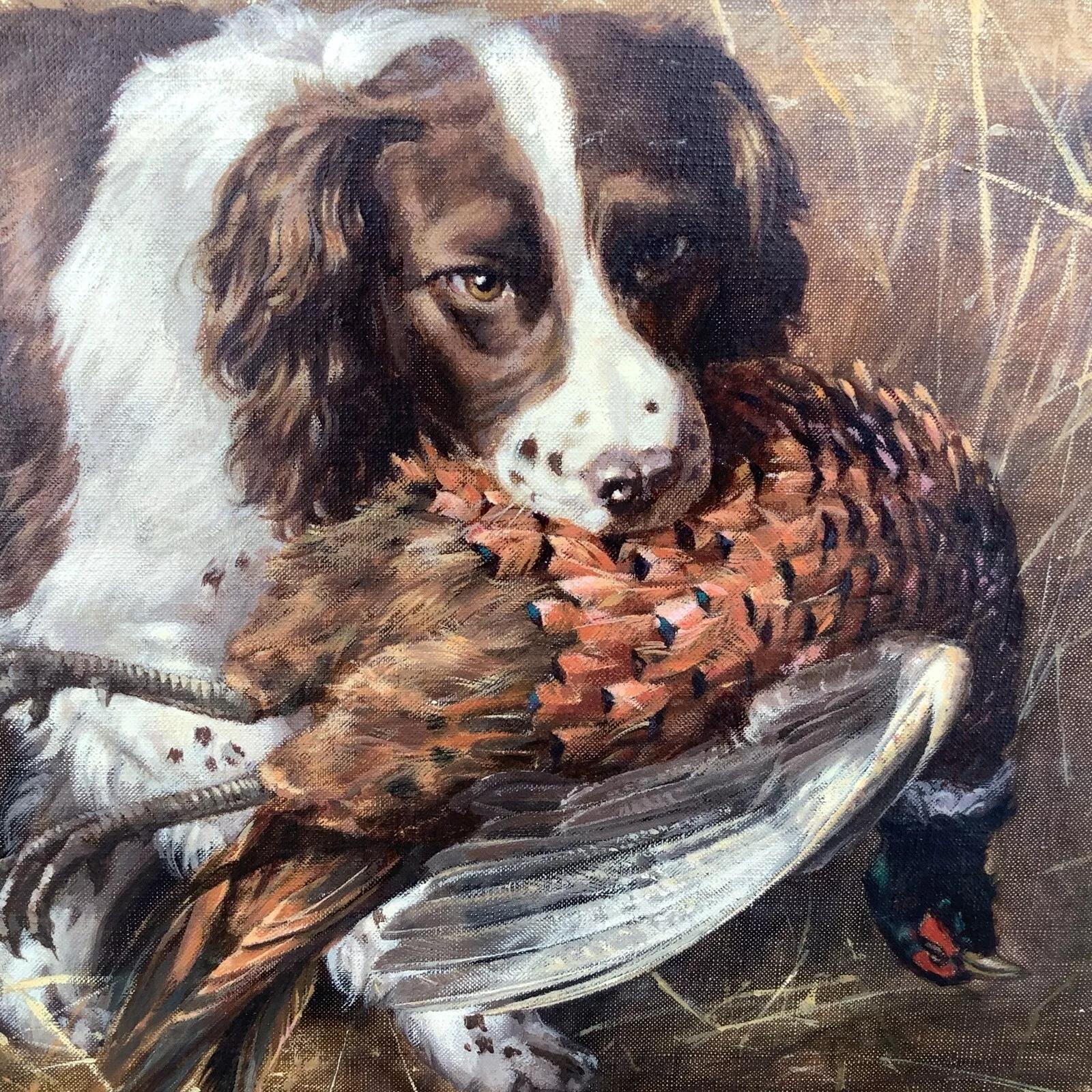 Oil on Canvas by Frederick J Haycock Depicting a Springer Spaniel & Pheasant (1 of 12)