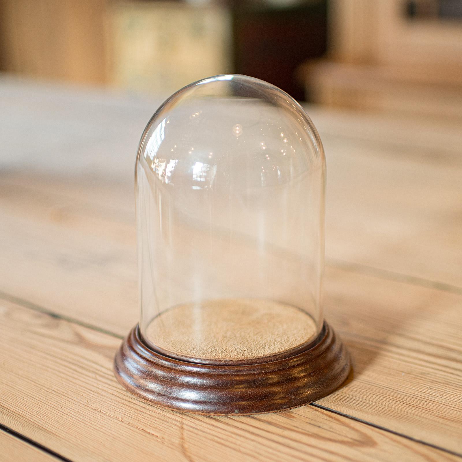 Small Antique Display Dome, English, Glass, Oak, Taxidermy, Showcase, Edwardian (1 of 10)