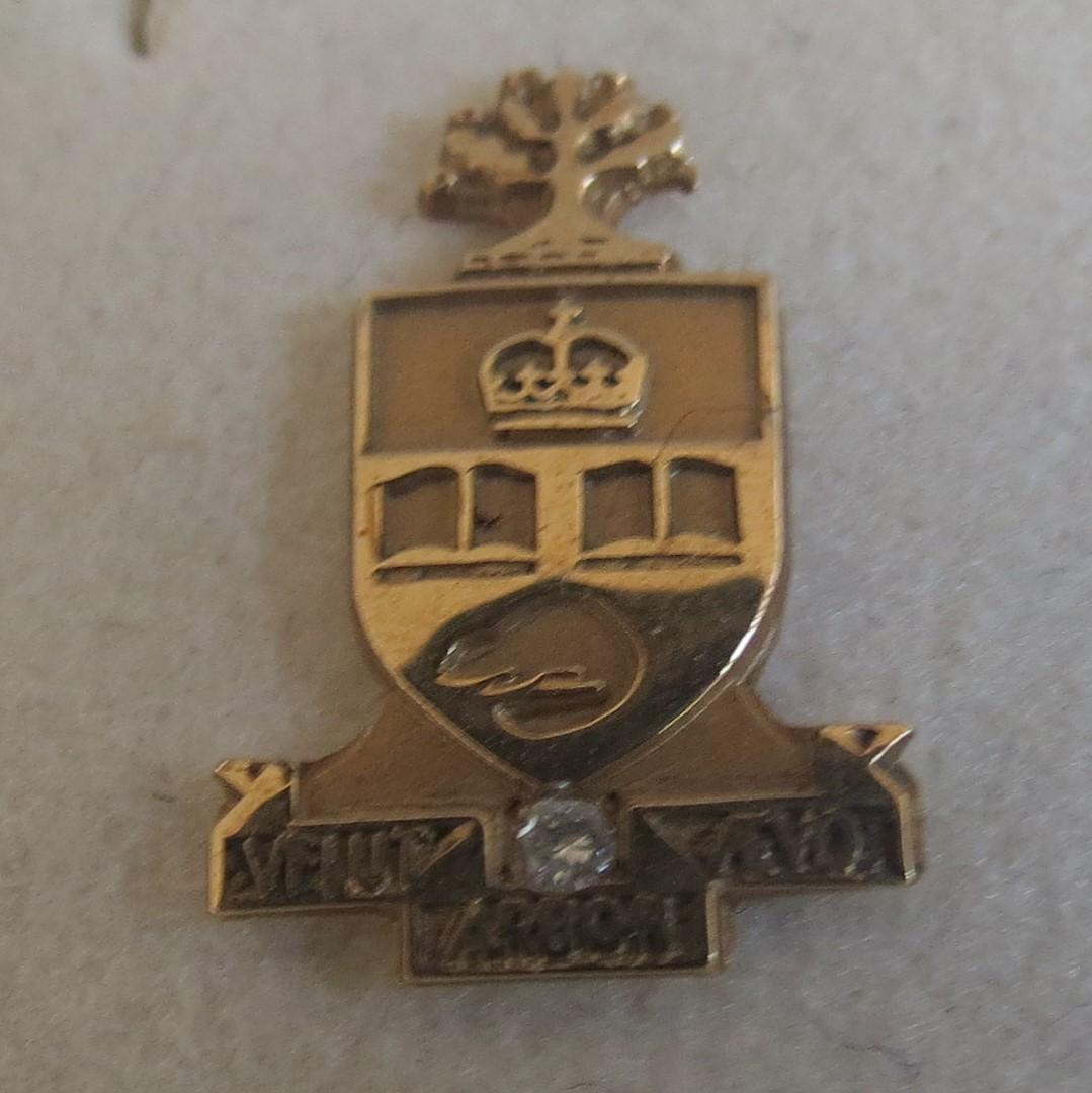 University of Toronto Gold and Diamond Pin (1 of 5)