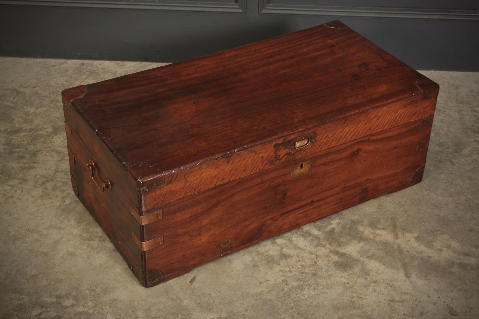 Camphor Wood Trunk (1 of 12)