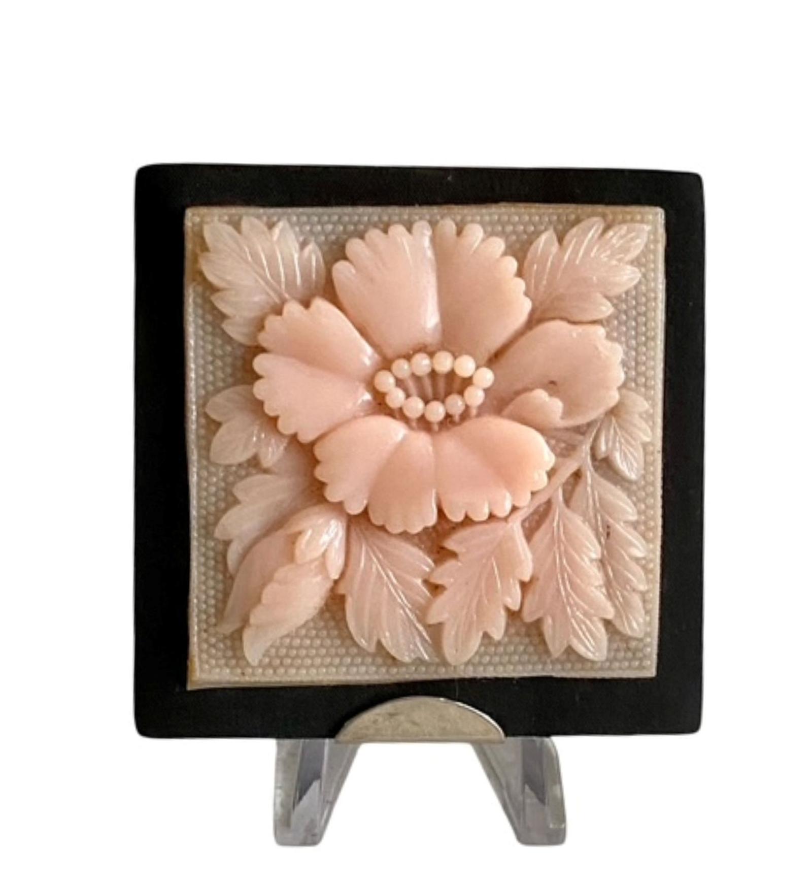 Vintage Unused Carved Coral Celluloid Powder Compact Circa 1940 (1 of 6) Vintage Unused Carved Coral Celluloid Powder Compact Circa 1940 (1 of 6)