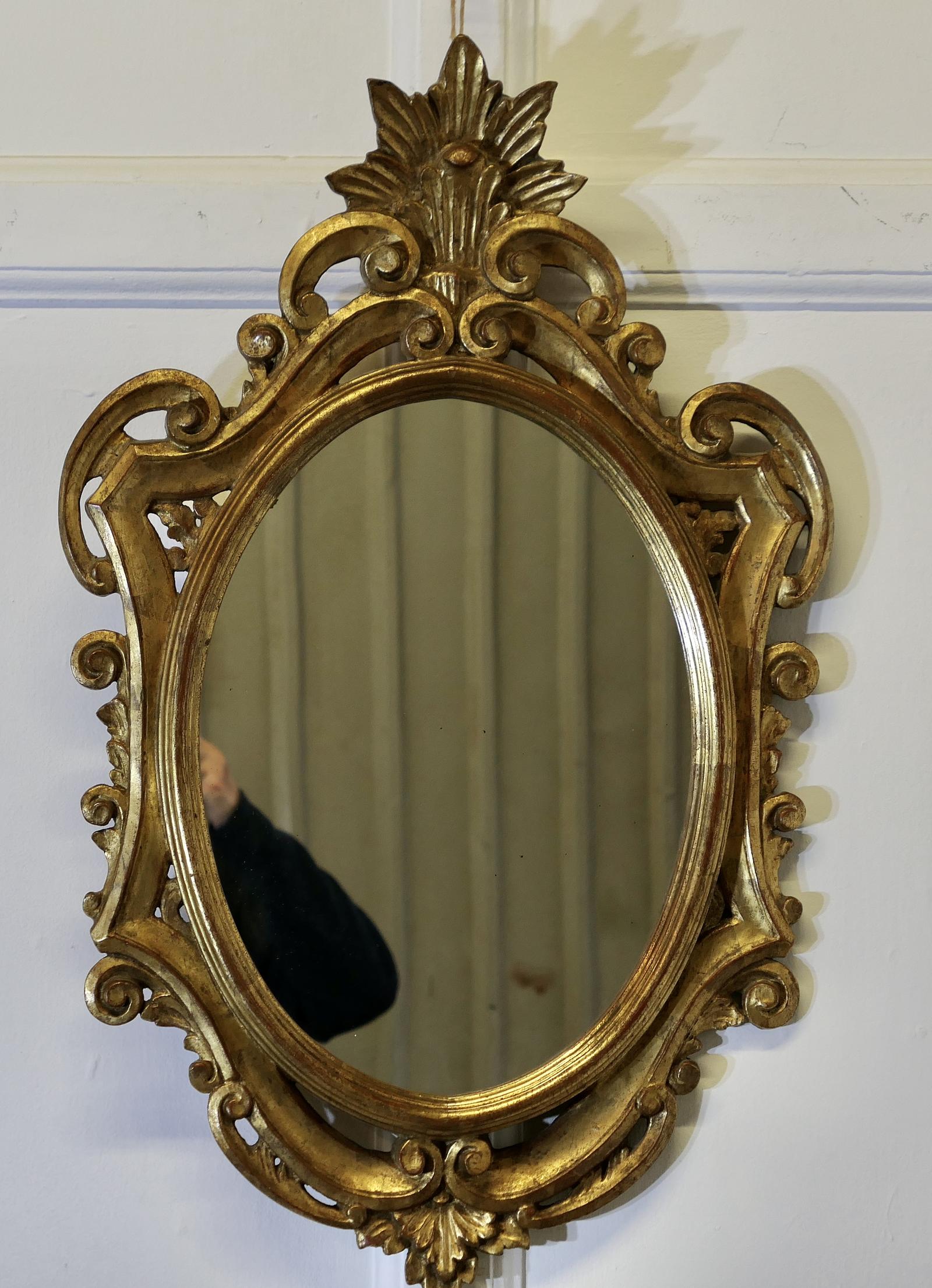 French Gilt Rococo Wall Mirror (1 of 7)