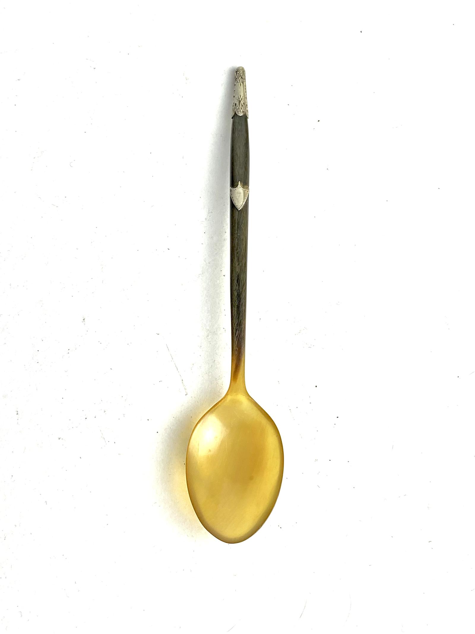 Horn Sherbet Spoon (1 of 3) Horn Sherbet Spoon (1 of 3)