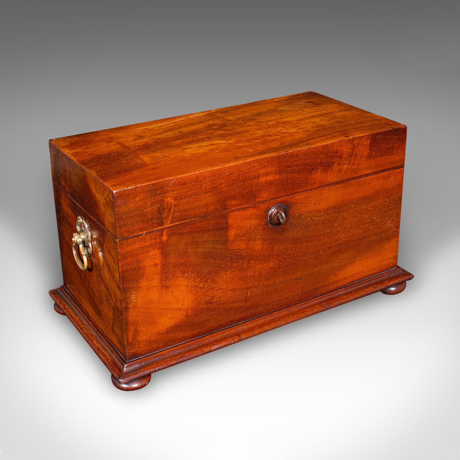 Antique Loose Tea Caddy, English, Dual Compartment Beverage Case, Regency, 1820 (1 of 10)
