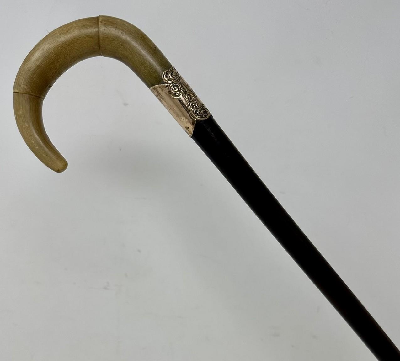 Antique Vintage English Walking Stick Cane Wooden Gold Plated Cow Horn Handle (1 of 8)
