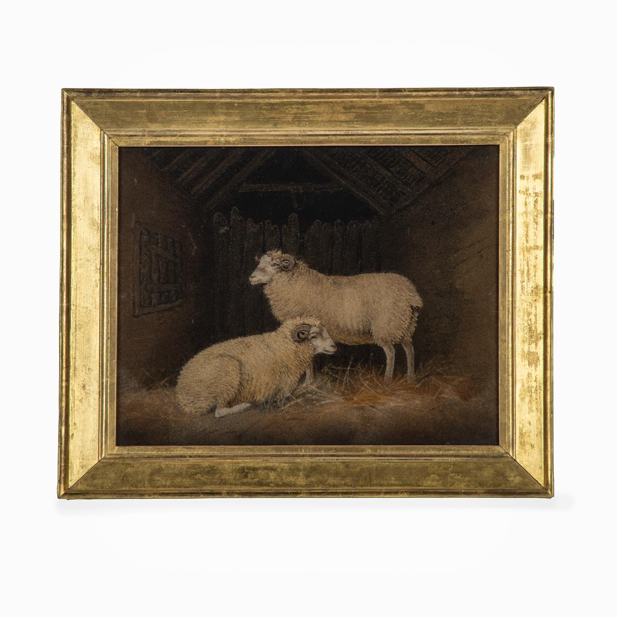 Very Good Sand Picture of Sheep by Benjamin Zobel (1 of 3)