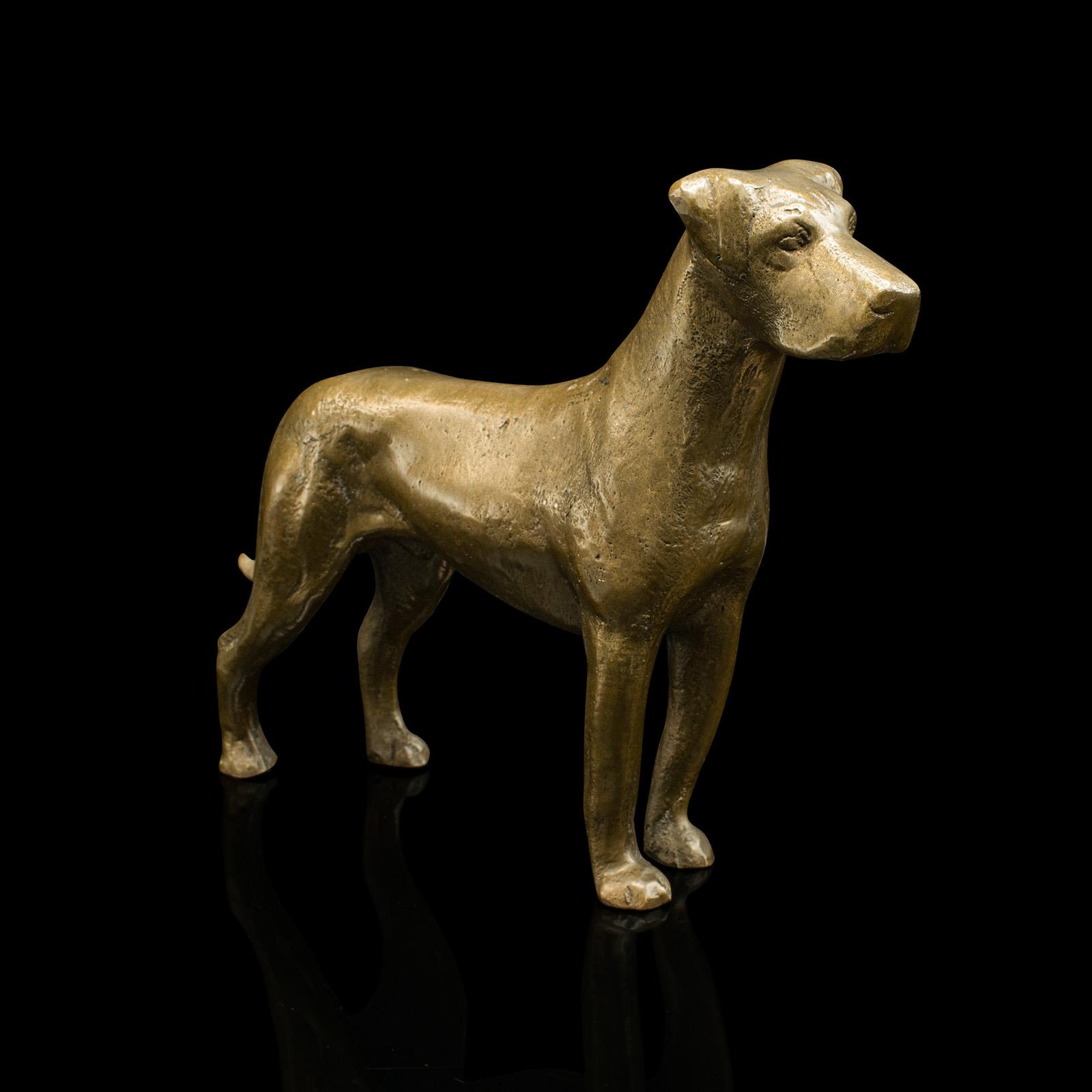 Antique Great Dane Figure, English, Bronze, Decorative, Dog Statue, Victorian (1 of 10)