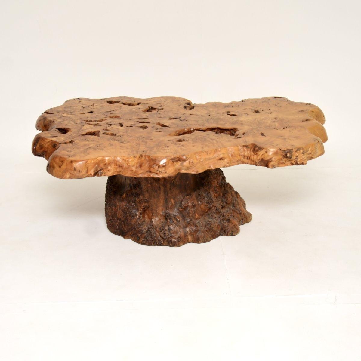 Vintage French Burr Walnut Tree Trunk Coffee Table (1 of 13)