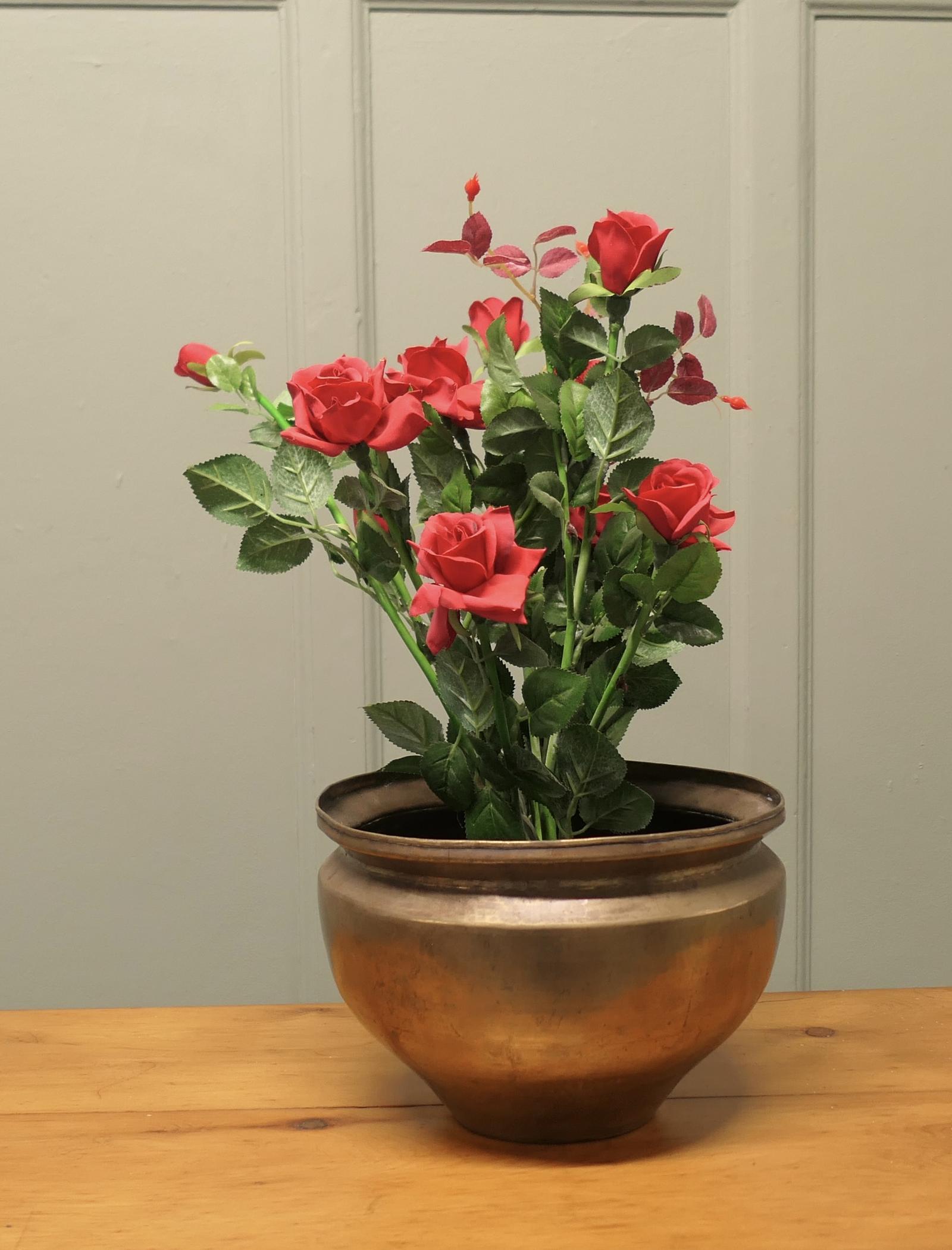 19th Century Brass Planter (1 of 6)
