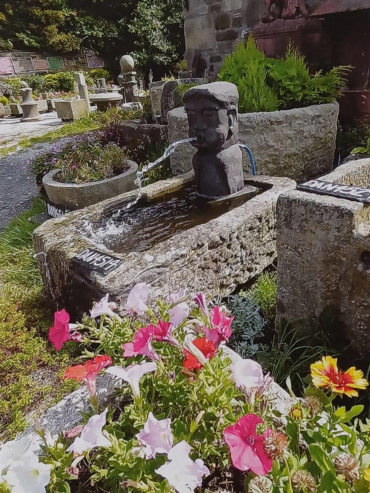 'Old Cedric' Water Fountain (1 of 1)