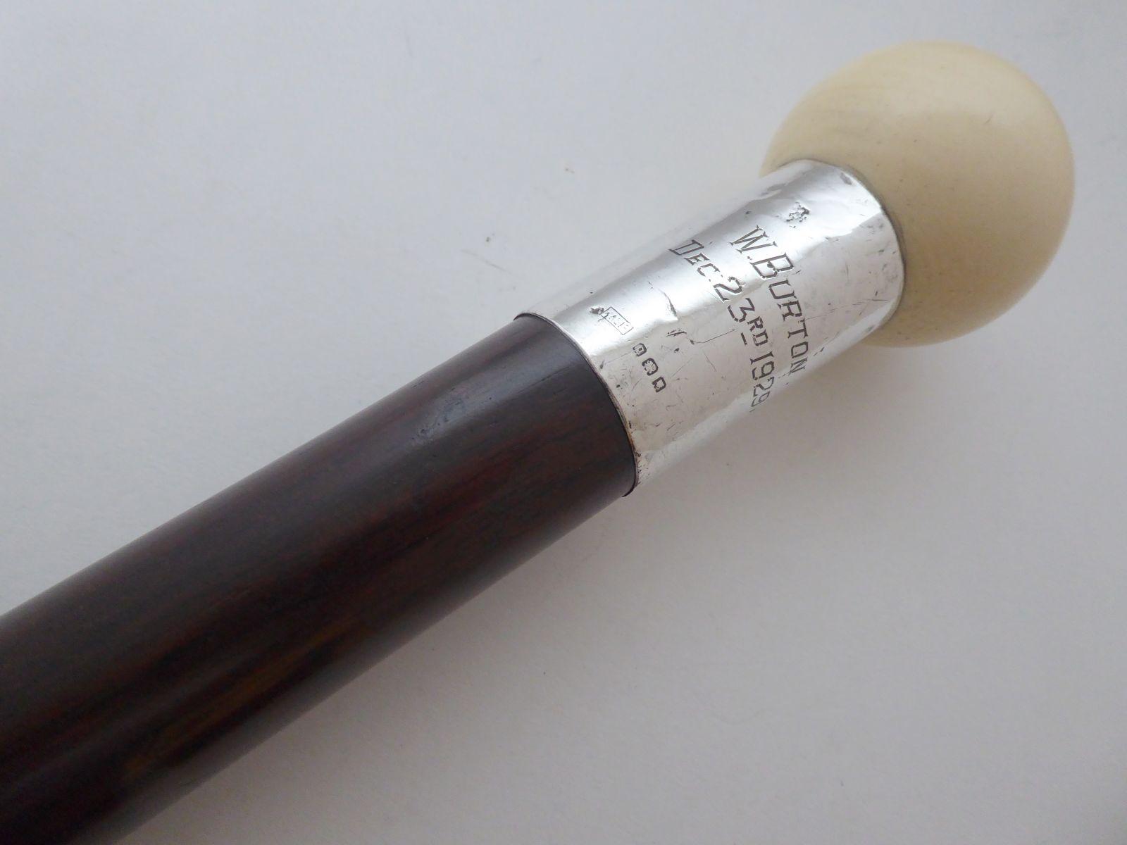 Heavy 610g Walking Stick Cane 1929 Solid Silver Collar Mahogany Shaft Tagua Top (1 of 12)