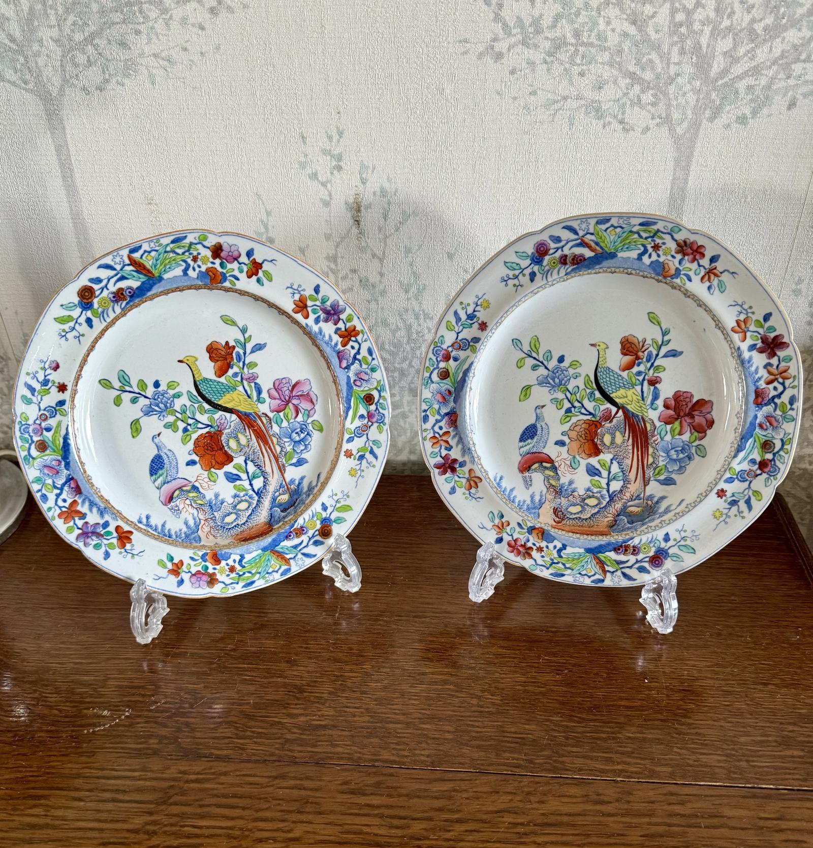 Rare Regency Spode Pheasant Pattern Plates c.1816 (1 of 6) Rare Regency Spode Pheasant Pattern Plates c.1816 (1 of 6)