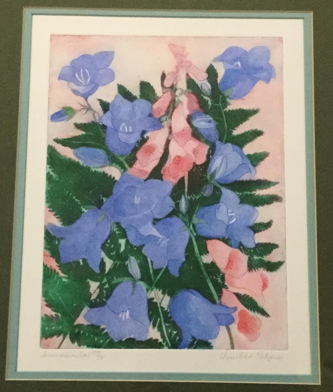 Winifred Packard Signed Coloured Etching of Campanulas (1 of 2)