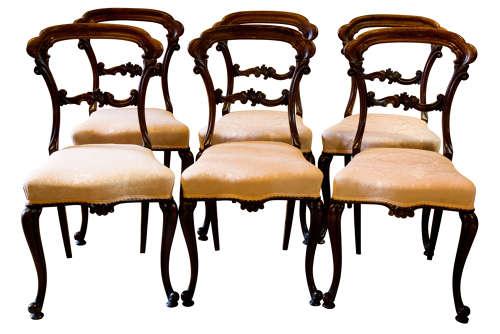 Set of William IV Rosewood Cabriole Leg Dining Chairs (1 of 9) Set of William IV Rosewood Cabriole Leg Dining Chairs (1 of 9)