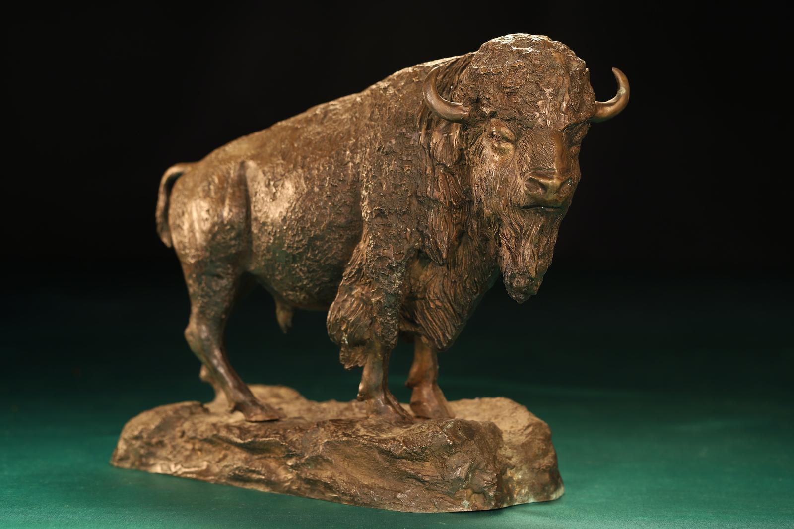 Magnificent Bronze Statue of an American Bison After Alfred Barye c.1900 (1 of 9) Magnificent Bronze Statue of an American Bison After Alfred Barye c.1900 (1 of 9)