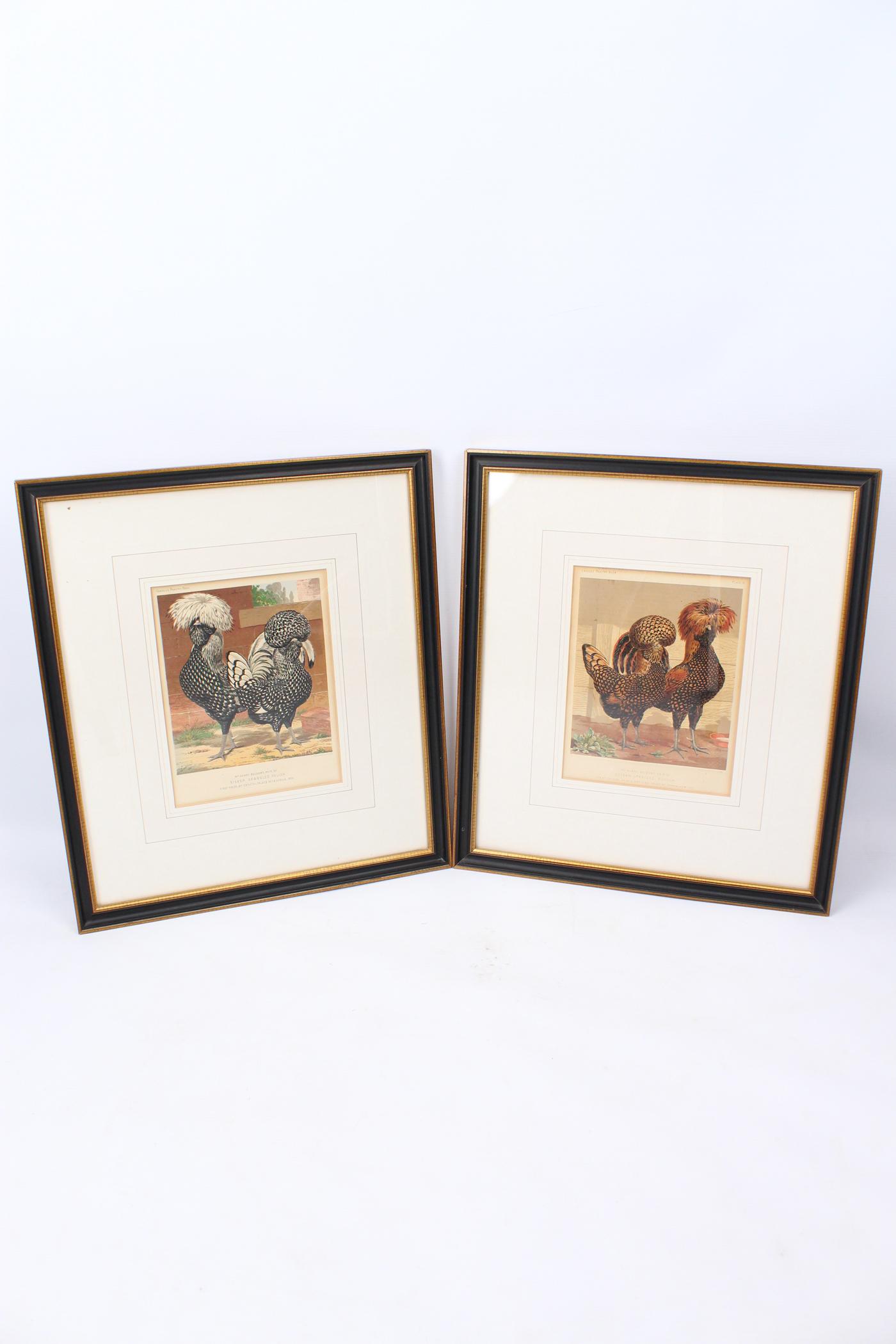 Pair of Framed Antique Chicken Lithographs (1 of 13) Pair of Framed Antique Chicken Lithographs (1 of 13)